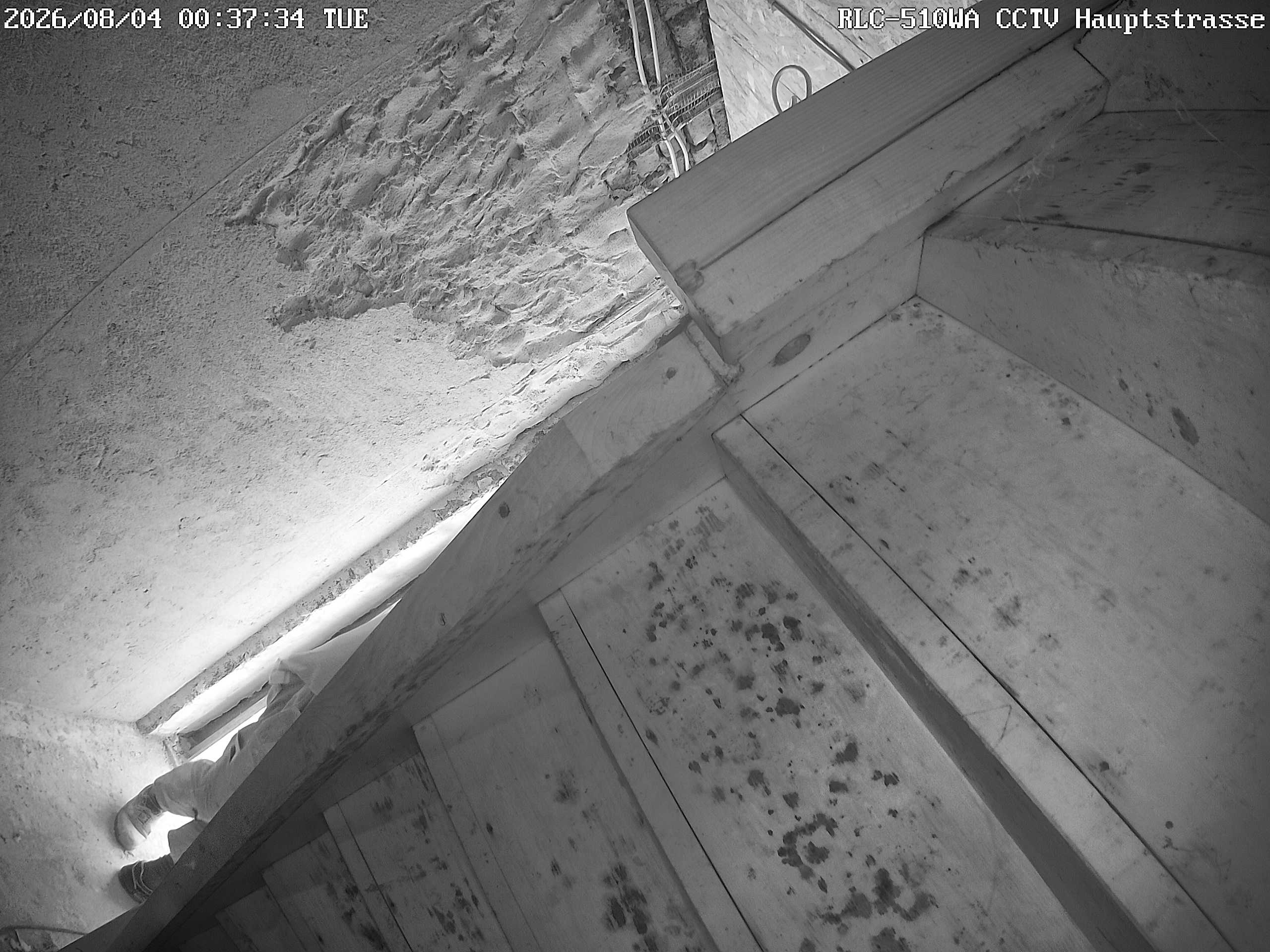 RLC-510WA CCTV Hauptstrasse_00_20260804003734.jpg